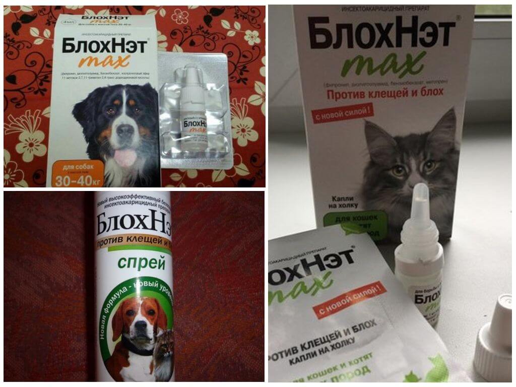 БлохНэт против эктопаразитов