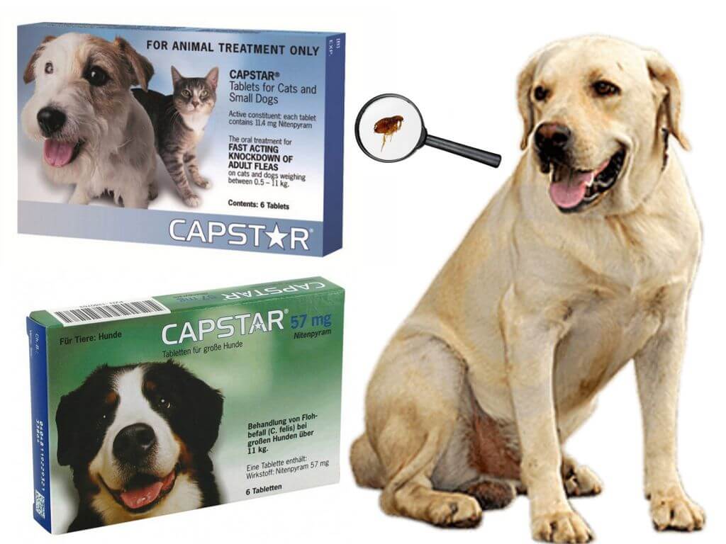 Жевательные таблетки для кошек и собак Capstar