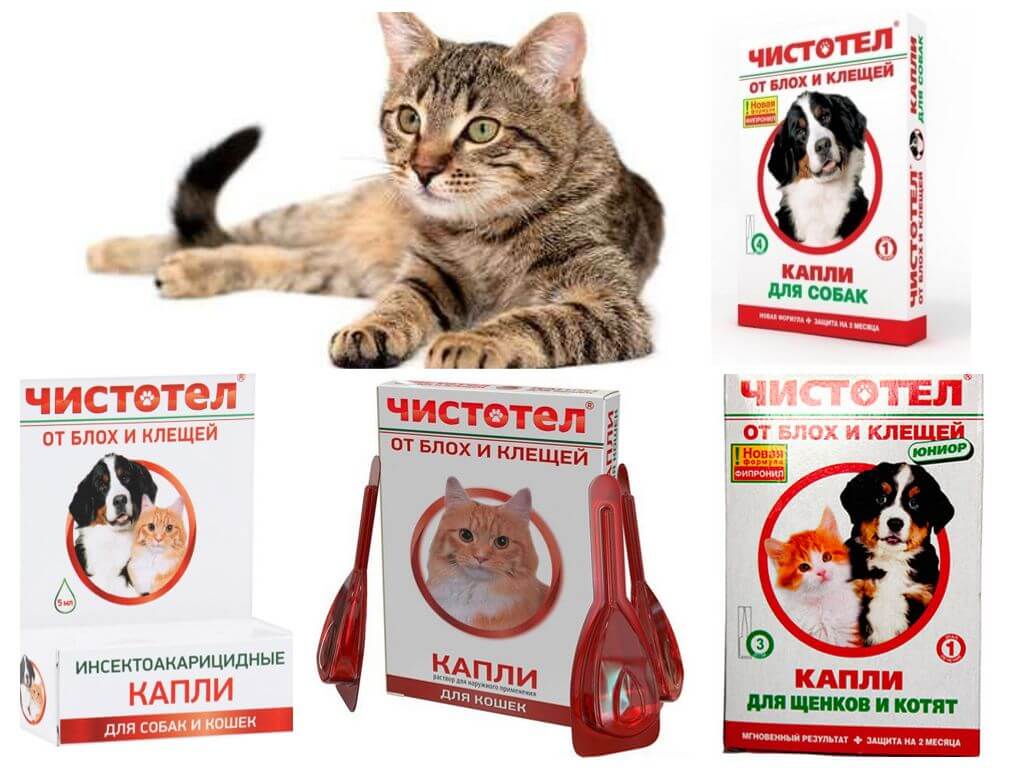 Виды капель Чистотел