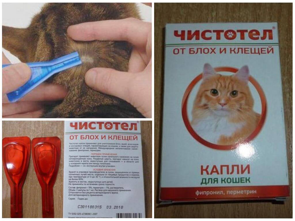 Капли Чистотел для кошек