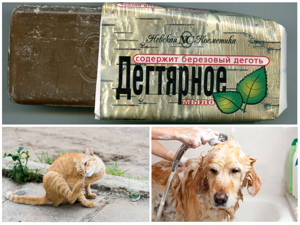 Дегтярное мыло от блох у кошек и собак