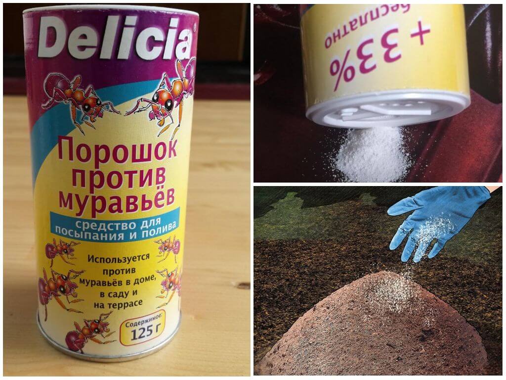 Порошок Delicia от муравьев