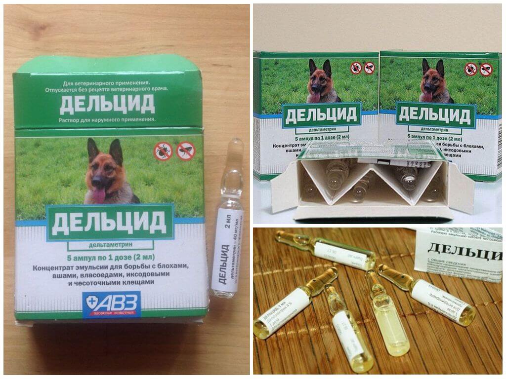 Дельцид в ампулах для обработки квартиры от блох