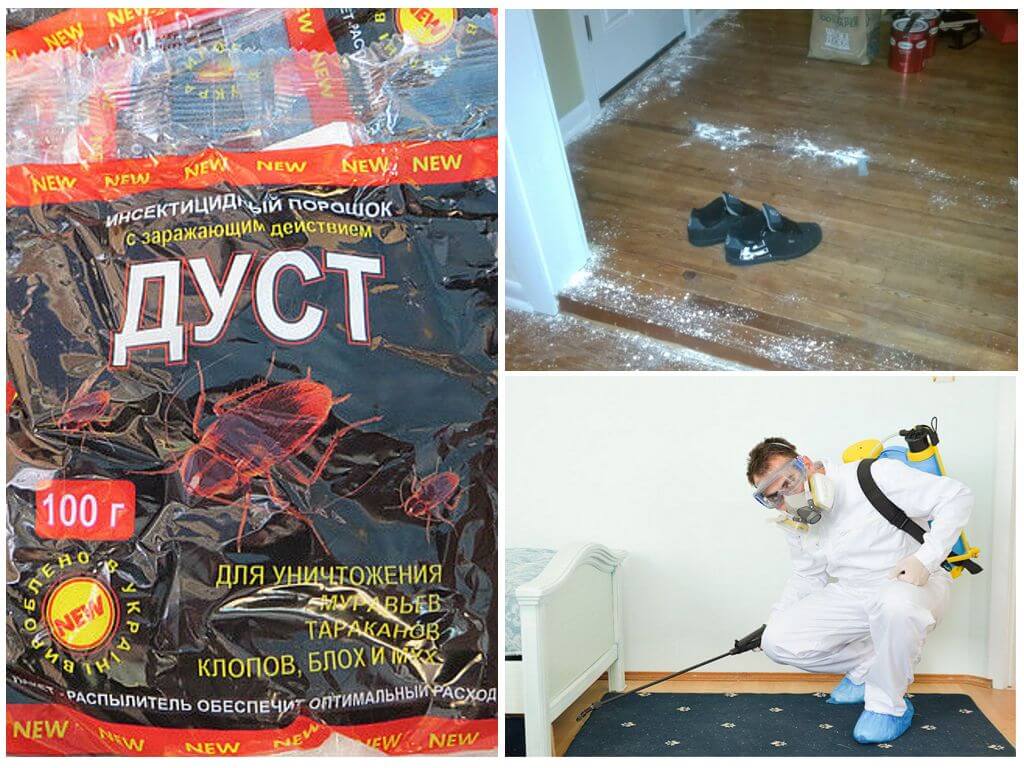 Дуст от тараканов