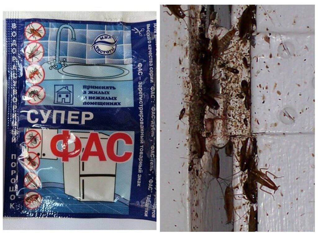 Порошок Супер Фас от тараканов