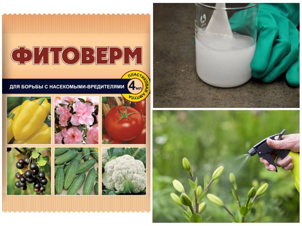 Фитоверм для борьбы с тлей