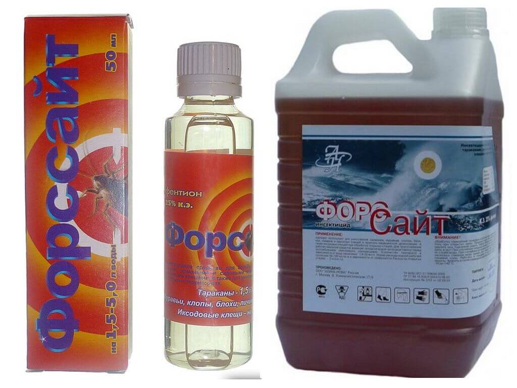 Форссайт от клопов