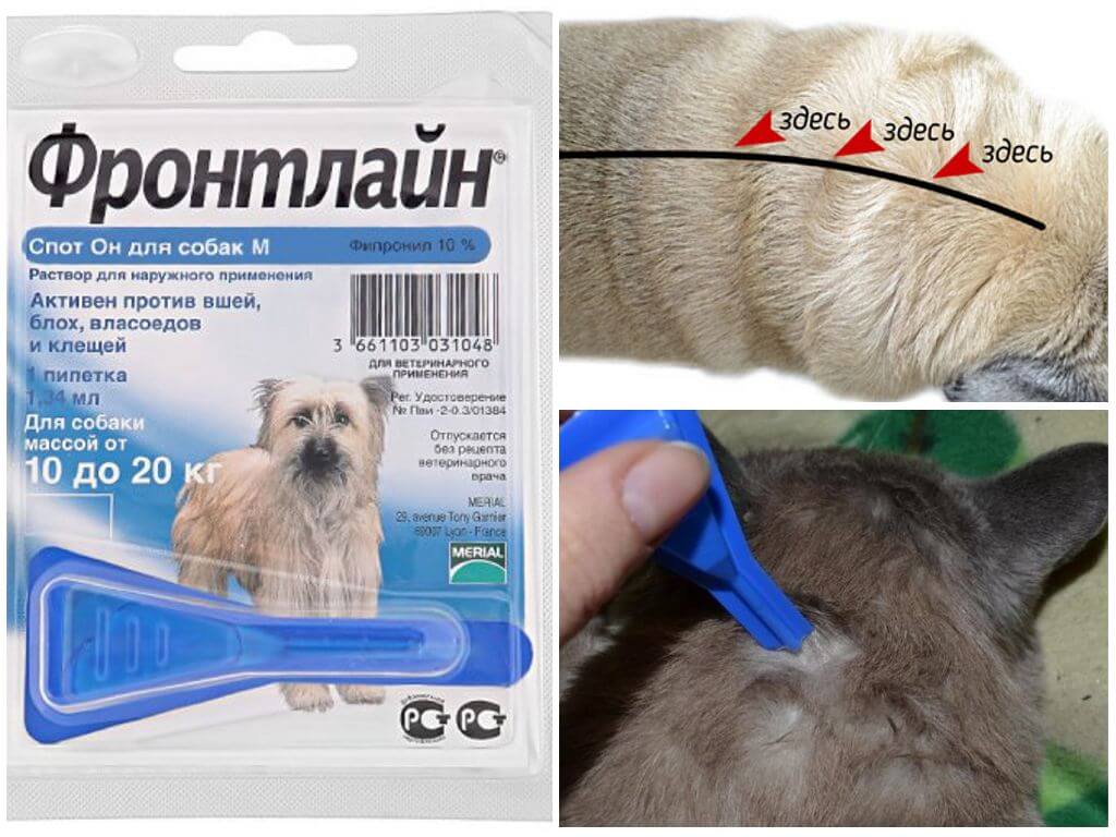 Капли Фронтлайн против блох