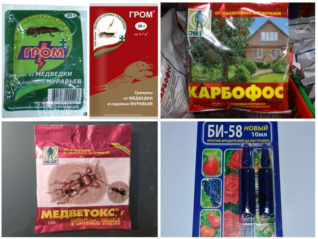Ядохимикаты от медведки