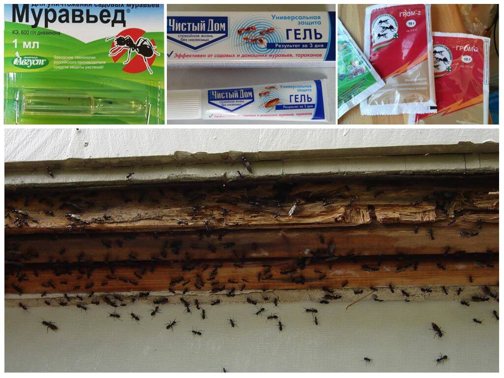 Химические препараты для борьбы с насекомыми