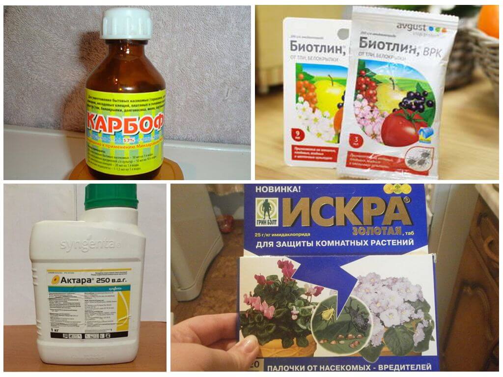 Химические препараты для уничтожения насекомых