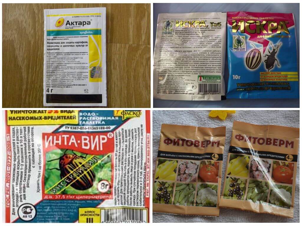 Химические средства от тли на клубнике