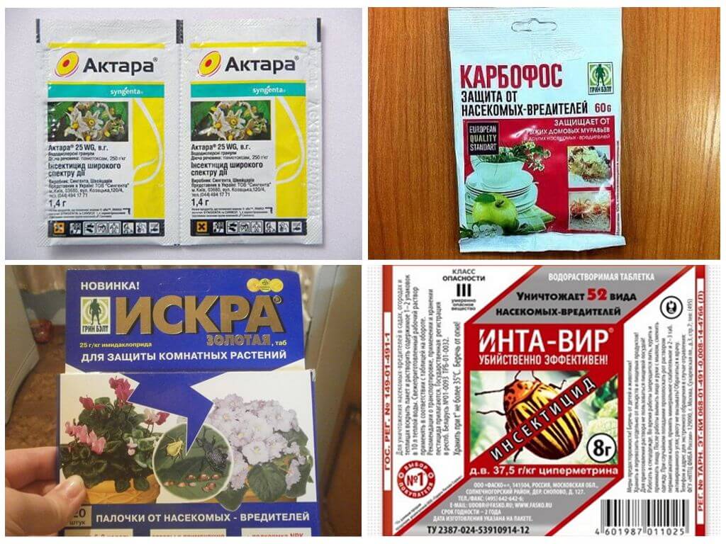 Химические средства для борьбы с тлей