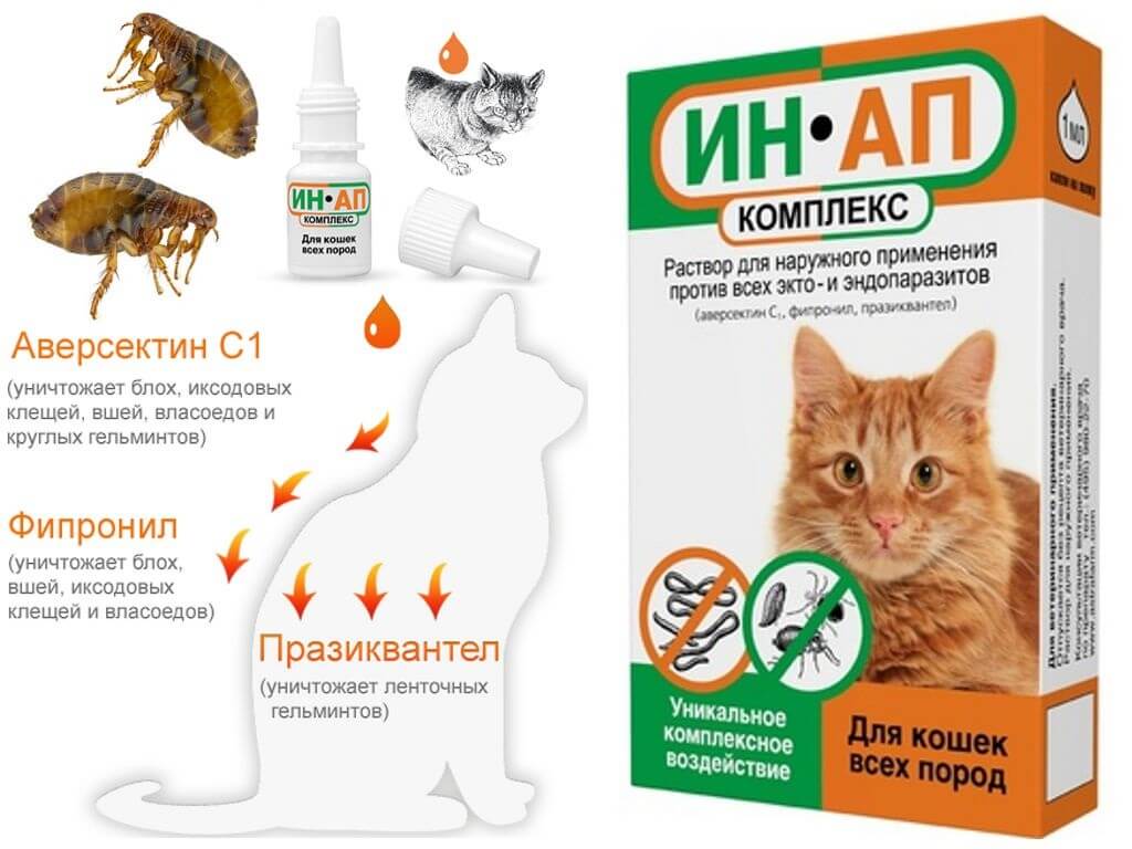ИН-АП комплекс