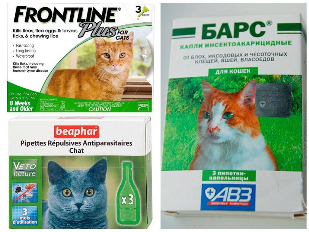 Капли от блох для кошек