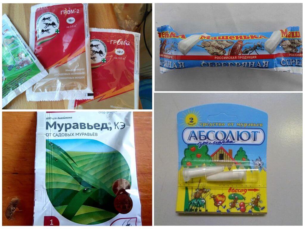 Химические инсектициды от муравьев