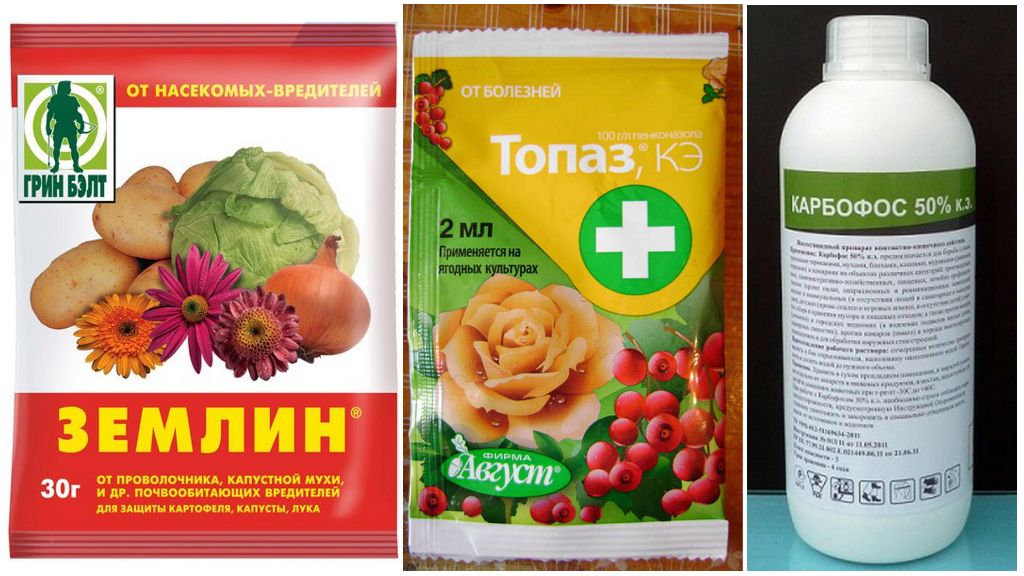 Инсектицидные препараты