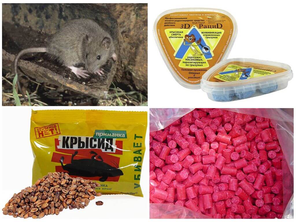 Отрава от крыс