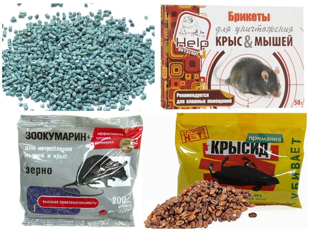 Яд в борьбе с пасюком
