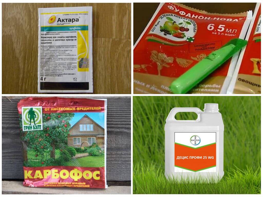 Химические препараты для уничтожения тли