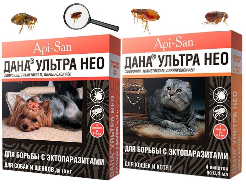 Капли от блох Дана Ультра Нео для кошек и собак