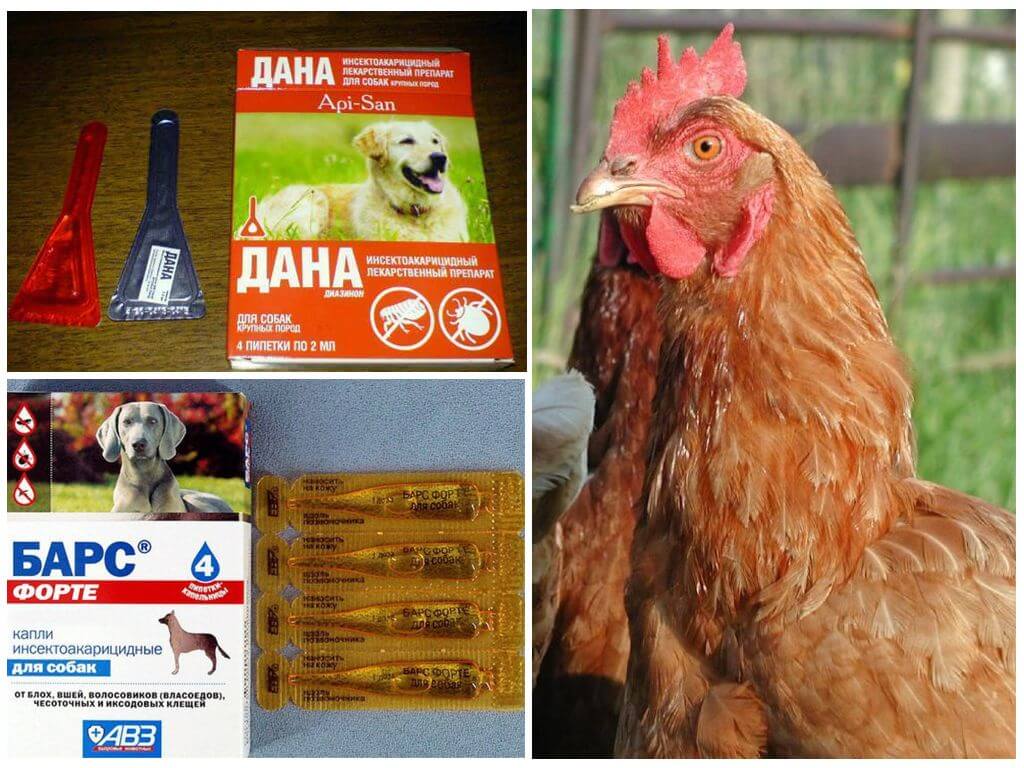 Капли для выведения блох у кур
