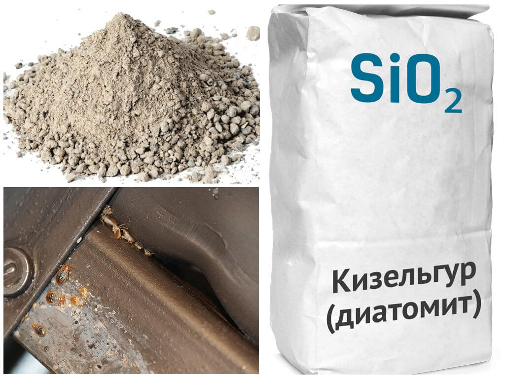 Кизельгур (диатомовая земля) от клопов
