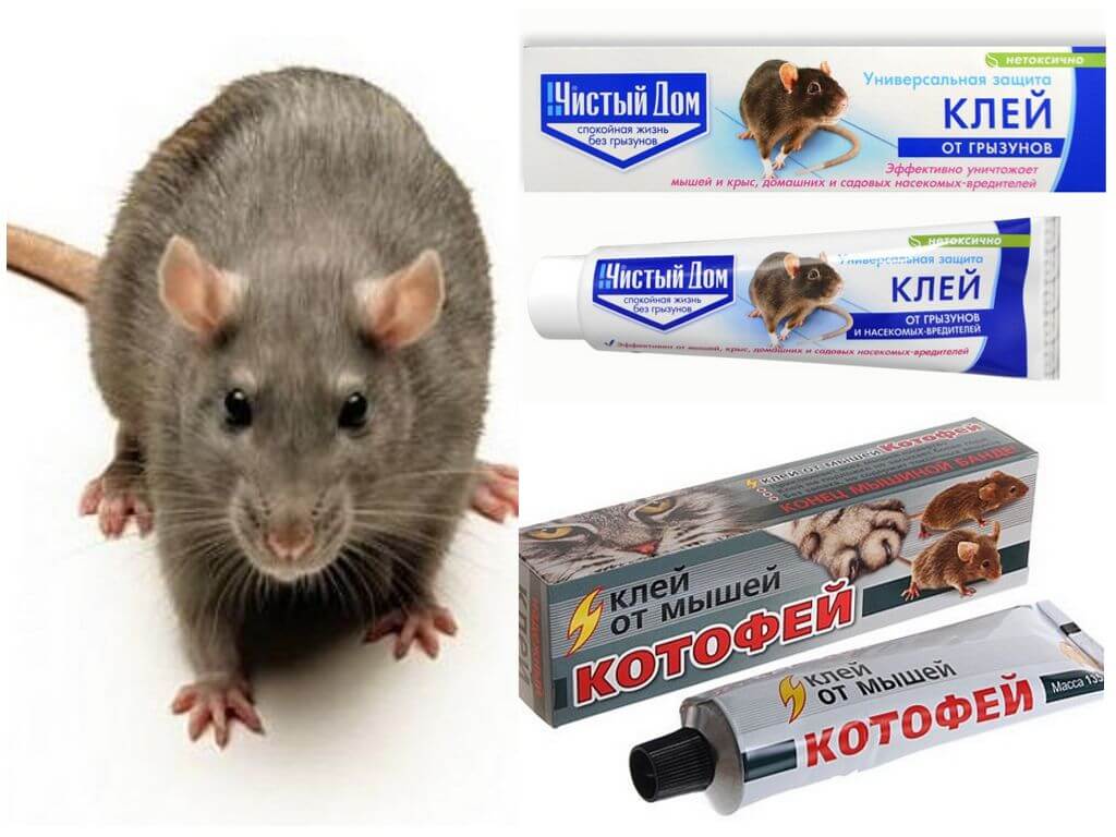 Клей Чистый Дом и Котофей от грызунов