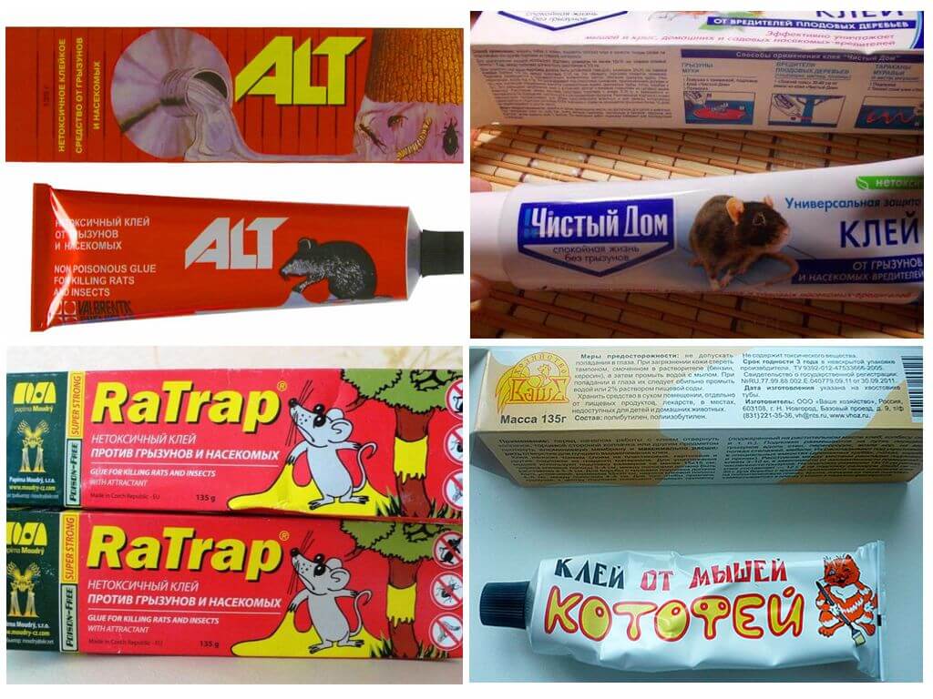 Клей для мышей