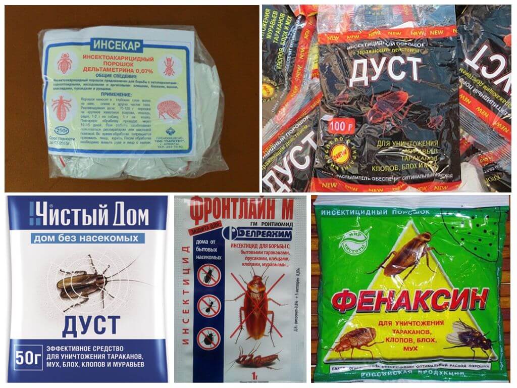 Дусты для уничтожения клопов