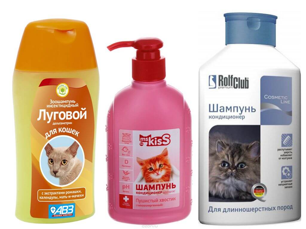 Шампуни для кошек