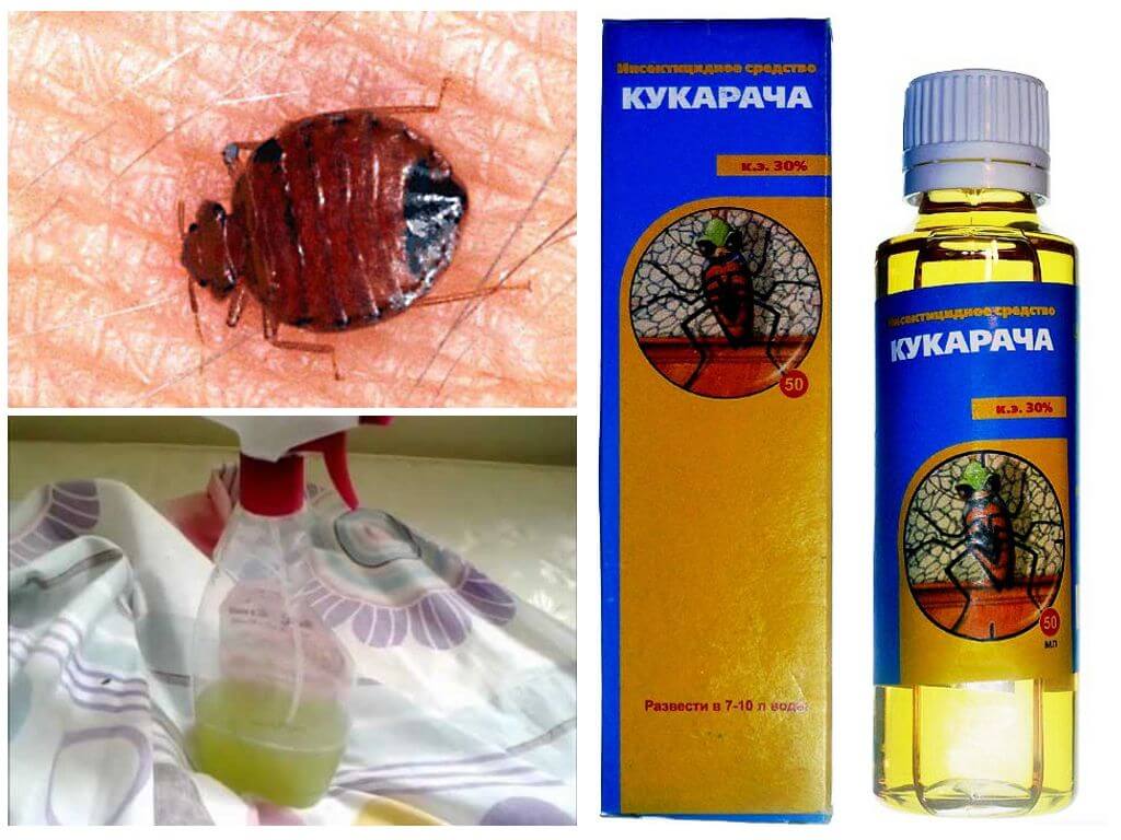 Препарат Кукарача для уничтожения насекомых