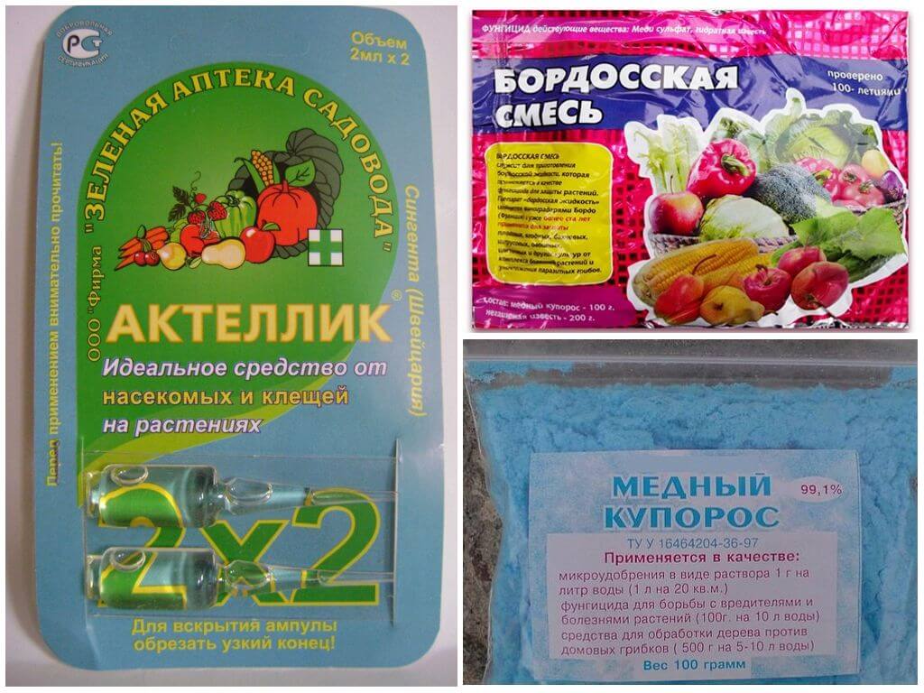Химические средства для уничтожения тли