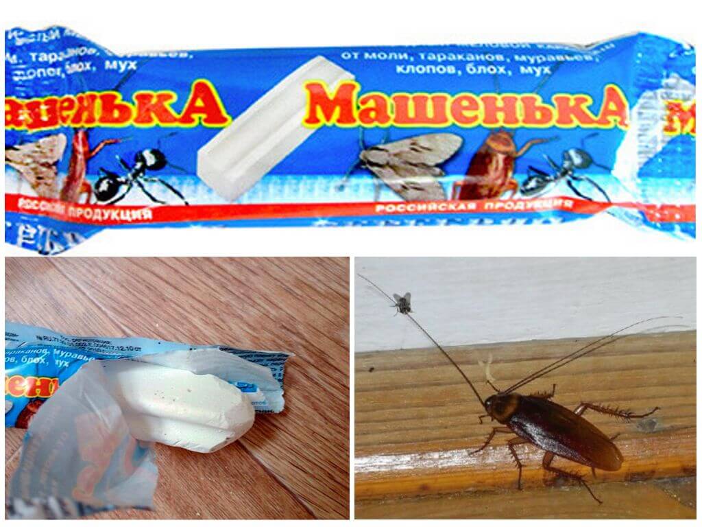 Машенька против тараканов