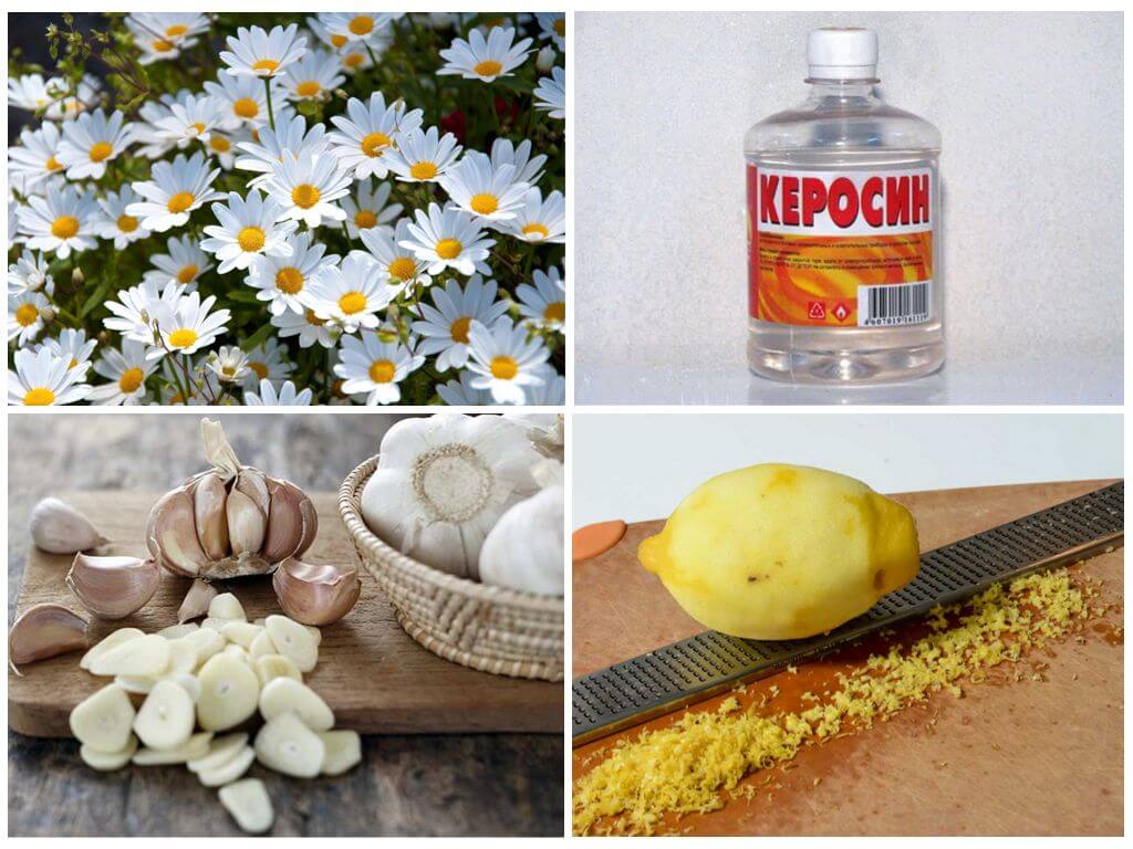 Методы борьбы с насекомыми