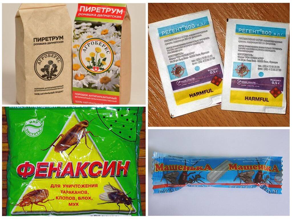 Препараты от муравьев