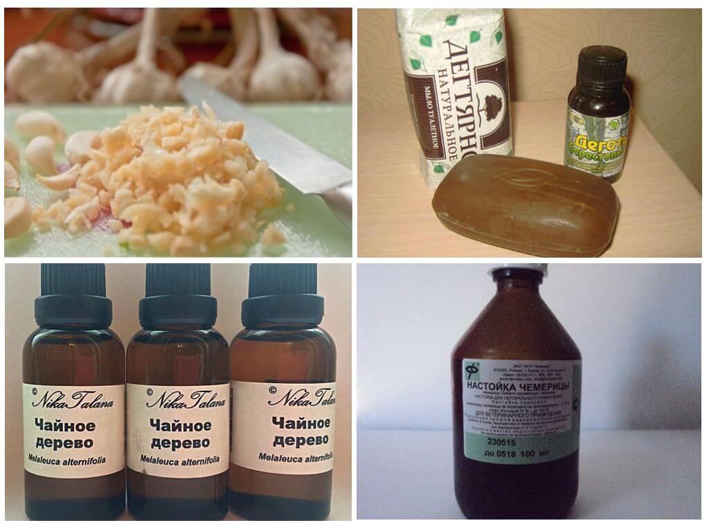 Народные способы лечения педикулеза