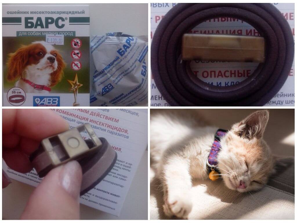 Ошейники от блох