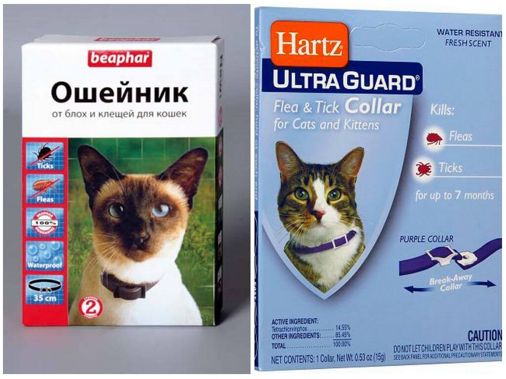 Ошейники от блох
