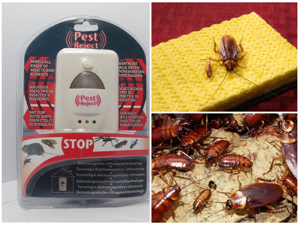 Средство Pest Reject от тараканов