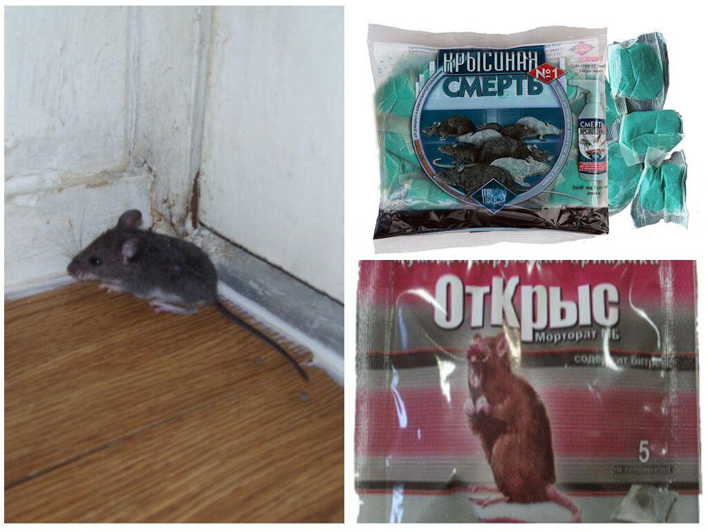 Отрава для мышей