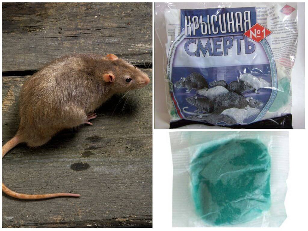 Отрава для борьбы с крысами