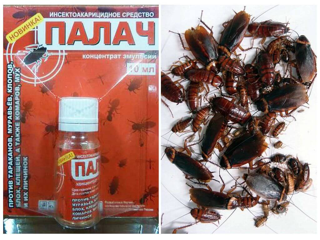 Средство Палач от тараканов