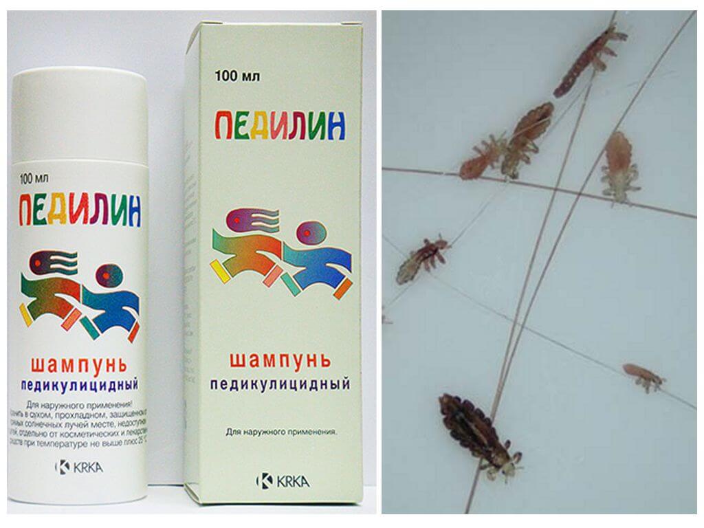 Педилин против вшей