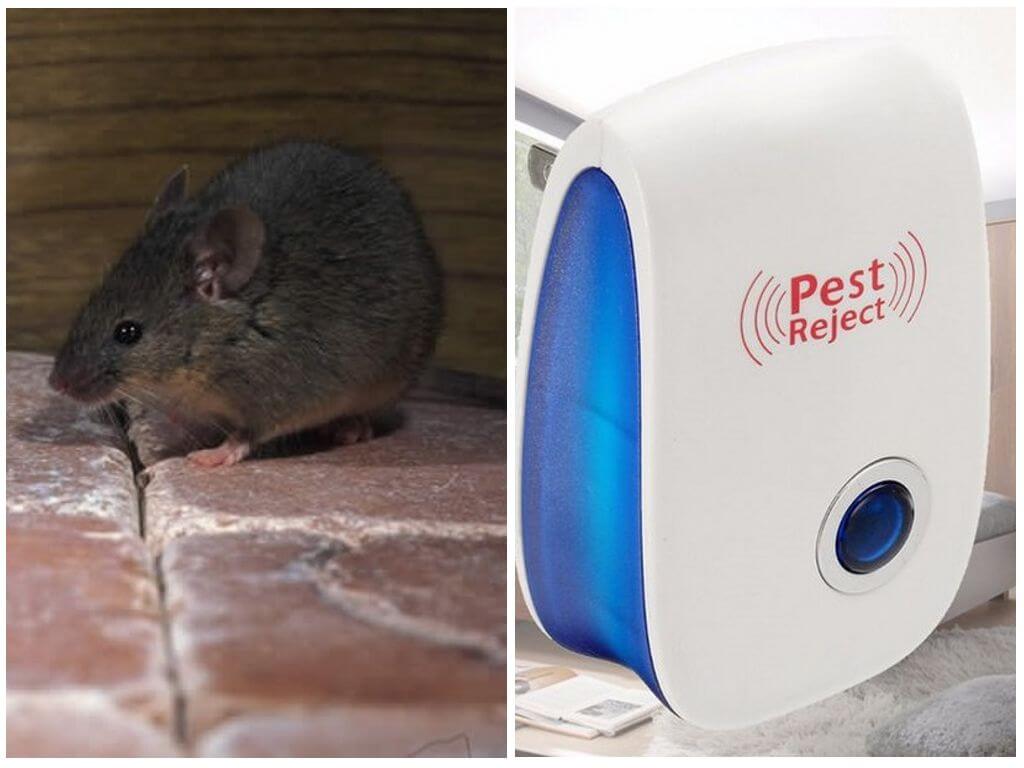 Электронный отпугиватель насекомых и грызунов Pest Reject