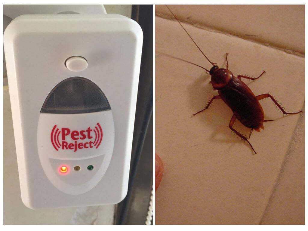Борьба с тараканами при помощи отпугивателя Pest Reject