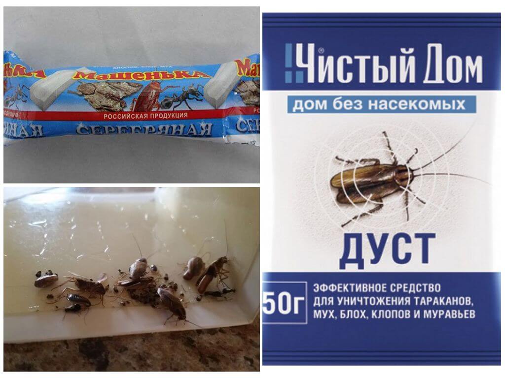 Порошок и мелки для борьбы с тараканами