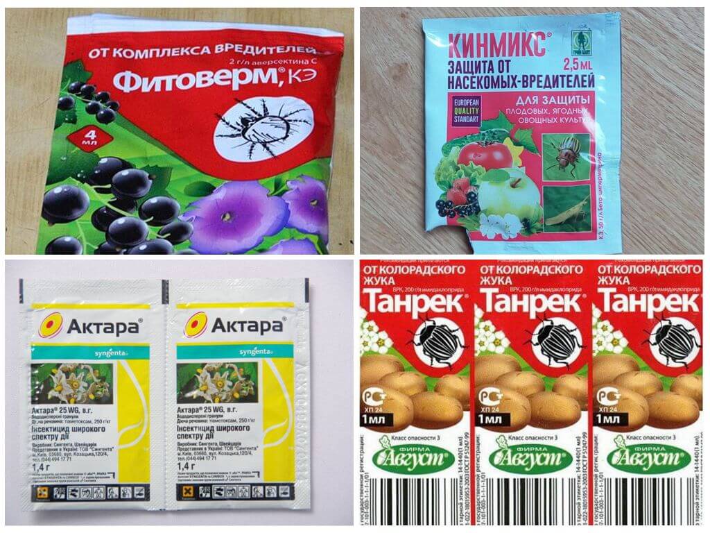 Препараты для борьбы с тлей
