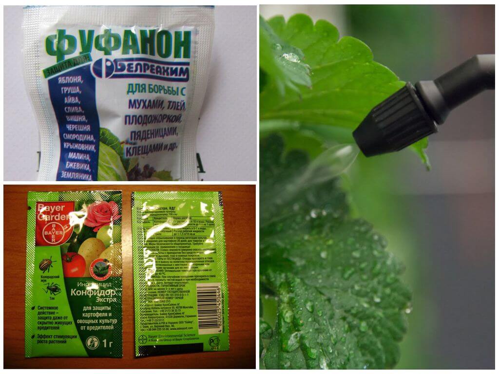Химические средства от тли