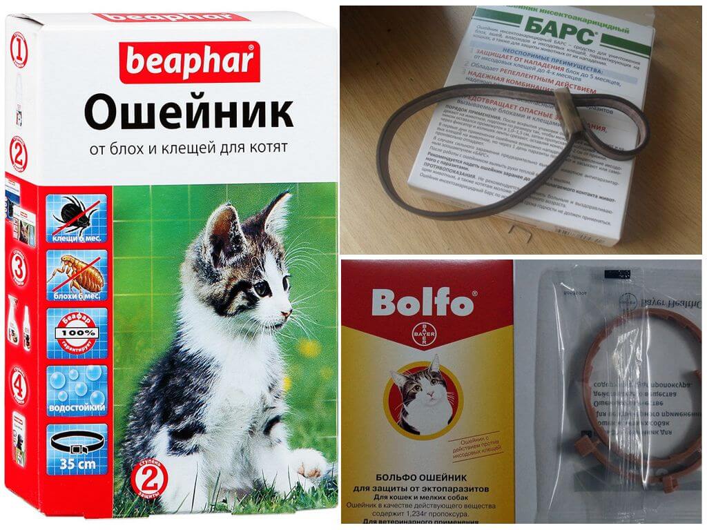 Противопаразитные ошейники для котят